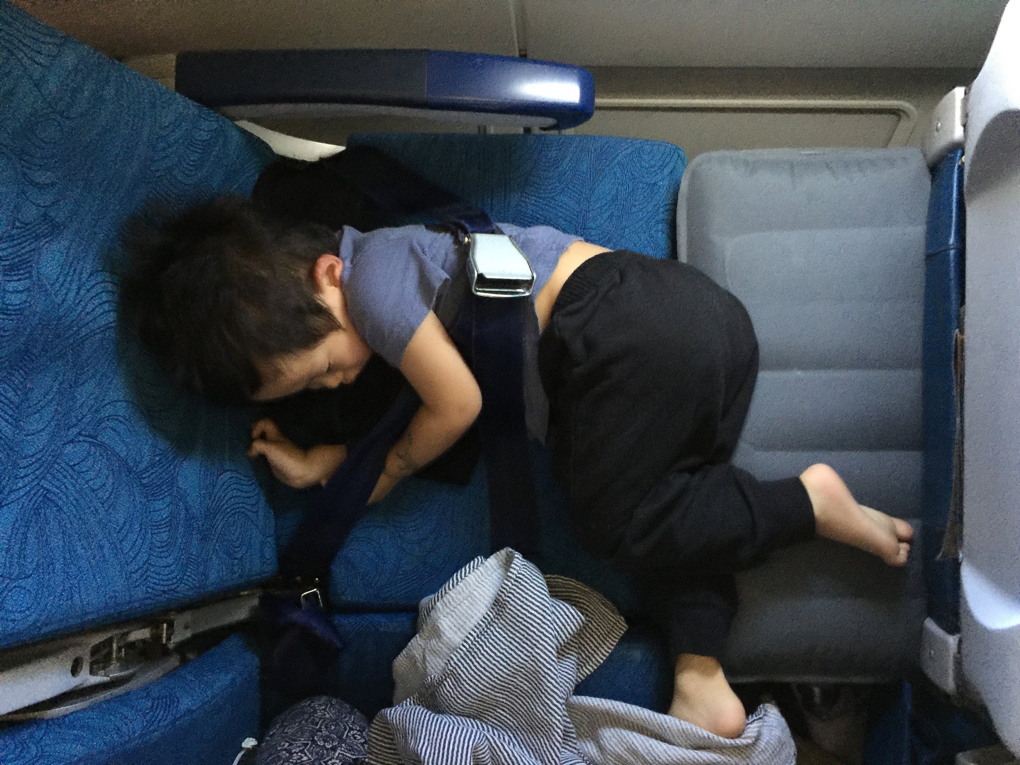 Sample Sale: The Original Fly Tot - Fly Tot